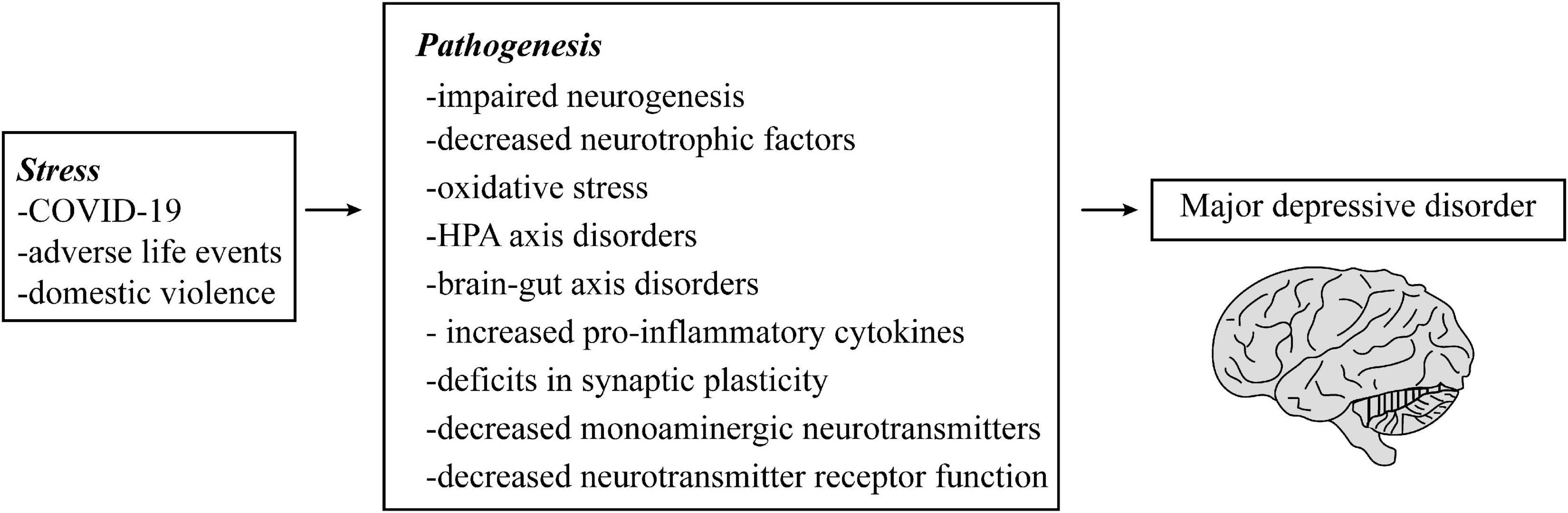 Exosomes may be the carrier of acupuncture treatment for major depressive disorder